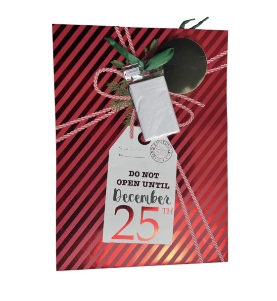 2.49 CHRISTMAS GIFT BAG