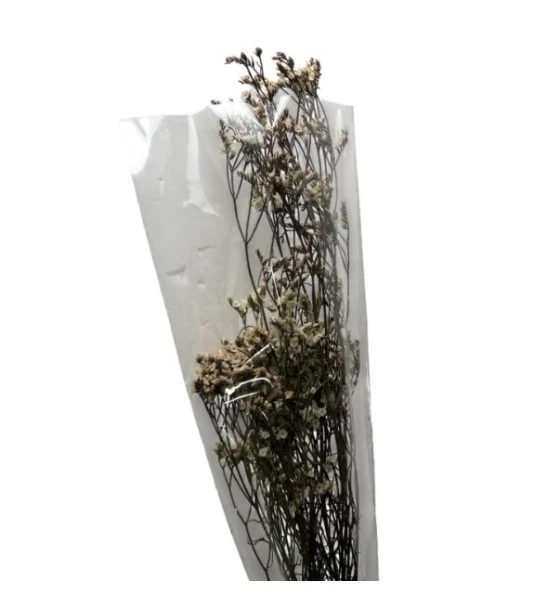 2.49 GERMAN STATICE STEMS 0.7 OZ