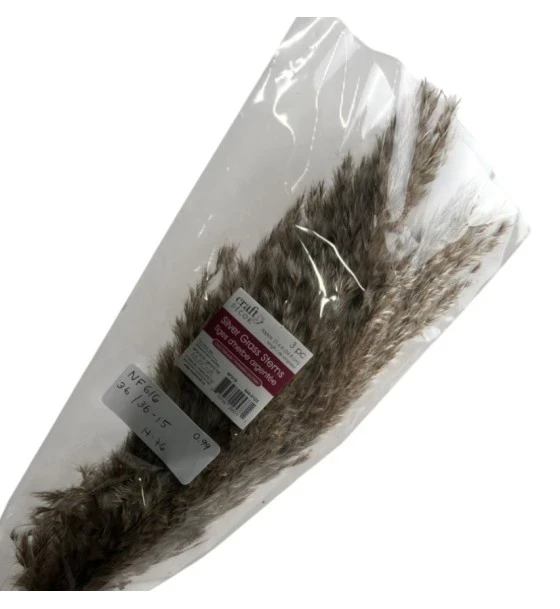 2.49 SILVER GRASS STEMS 3 OZ