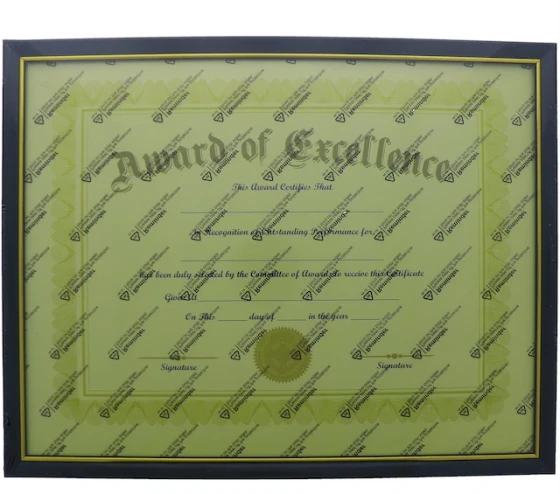 DOCUMENT FRAME BLACK AND GOLD TRIM 11 X 14 INCH