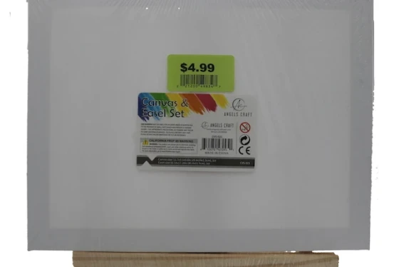 CANVAS AND EASEL SET