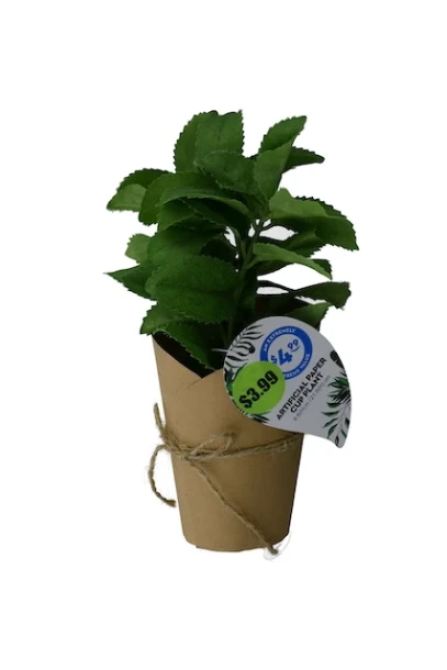 TROPICAL LEAF