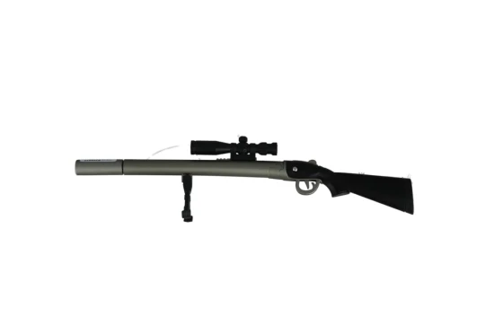 GUN PEN