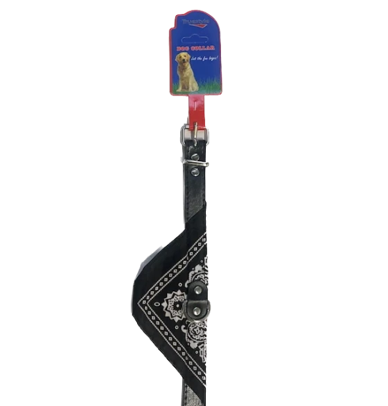 DOG COLLAR