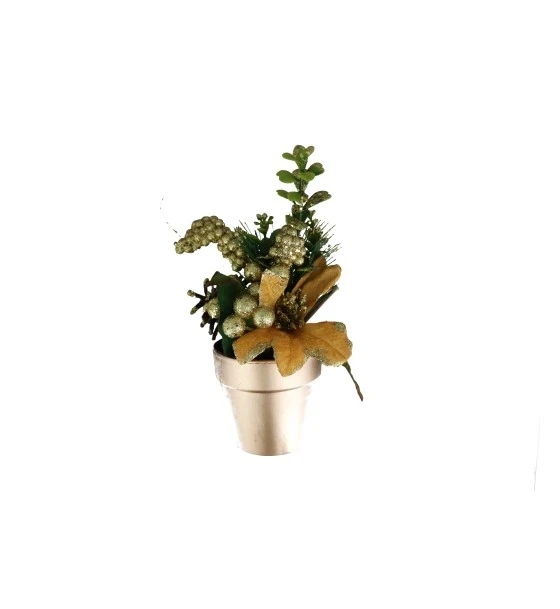 SILVER PLANT