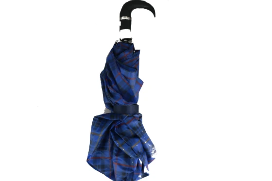UMBRELLA BLUE PLAID PATTERN