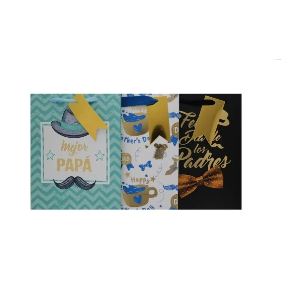 FATHERS DAY GIFT BAG MEDIUM