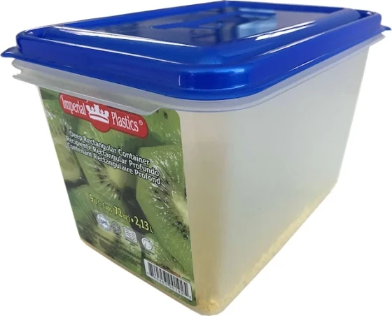 RECTANGLE CONTAINER 9 CUPS