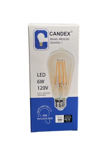LED 6W 120 V LIGHT BULB