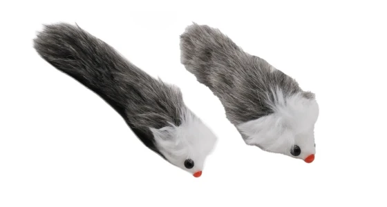 PET TOY