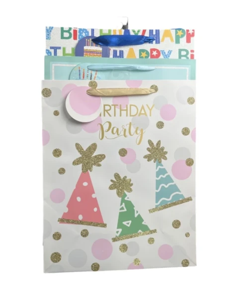 LARGE BIRTHDAY PARTY GIFT BAG