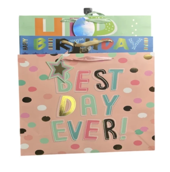 LARGE GIFT BAG