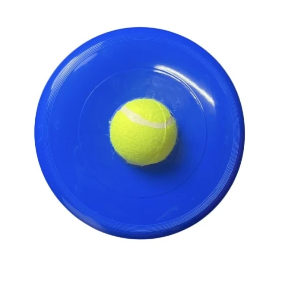 BALL AND FLYING DISC