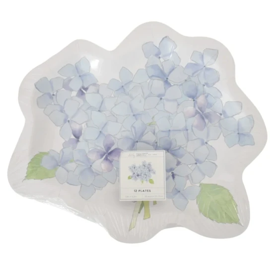 SARA FITZ FLORAL 10 INCH PLATES 12 COUNT