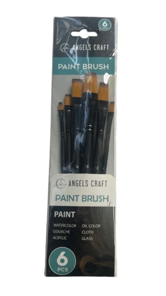 PAINT BRUSH 6 PCS