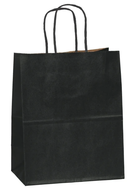 BLACK CRAFT BAG 2 COUNT