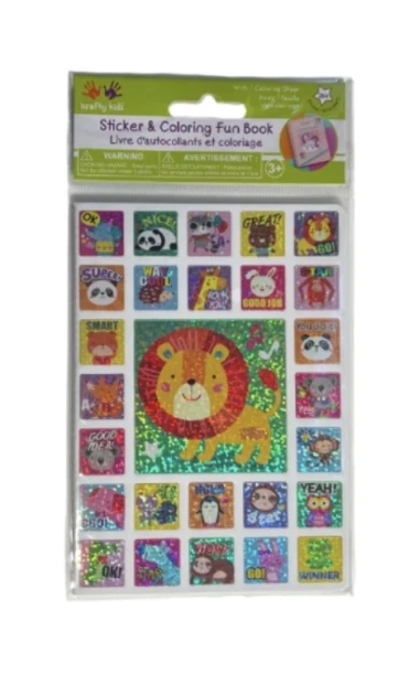 STICKER AND COLORING FUN BOOK