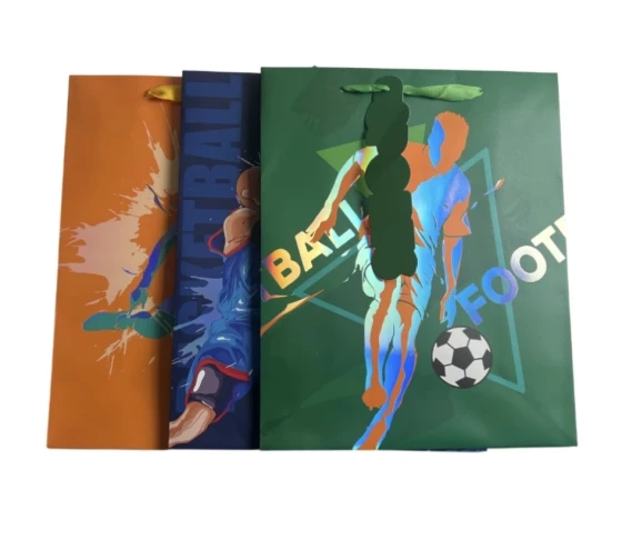 FOOTBALL MEDIUM GIFT BAG