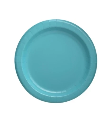 TEAL 8.5 INCH DINNER PLATE 20 COUNT