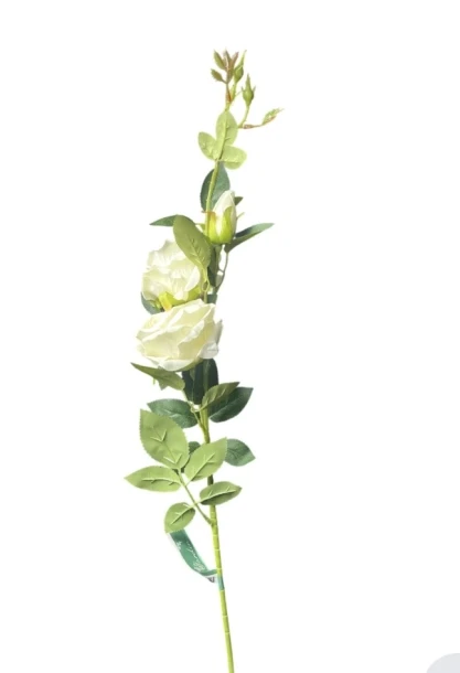 1.99 EXTRA LONG WHITE ROSE