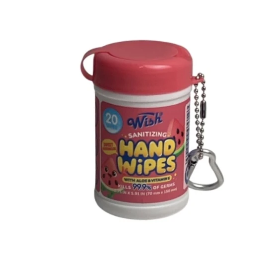 1.99 WISH SANITIZNG HAND WIPES