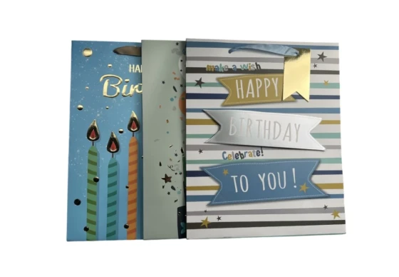 LARGE BIRTHDAY GIFT BAG