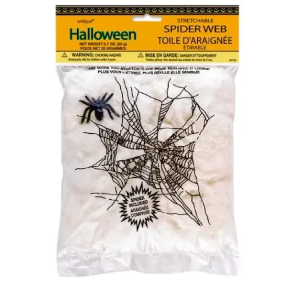 SPIDER AND SPIDER WEB