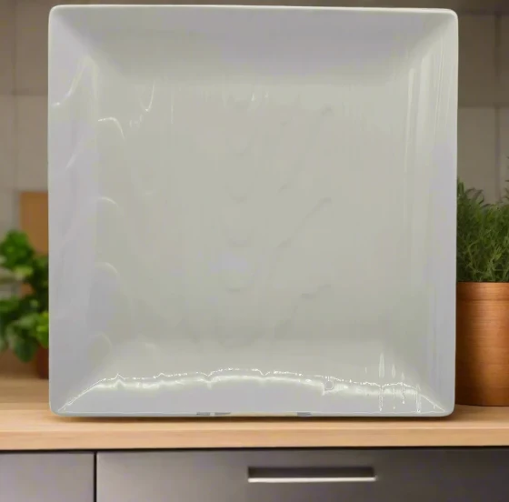 3.99 10.5" DINNER PLATE-WHITE-SQUARE