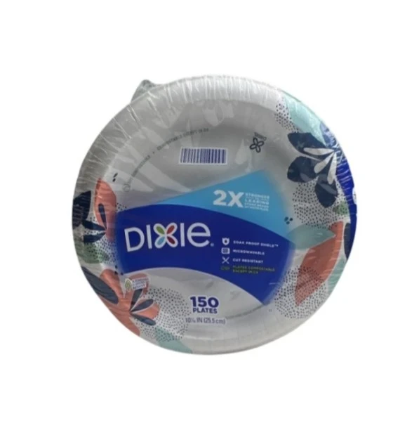 DIXIE 150 PLATES