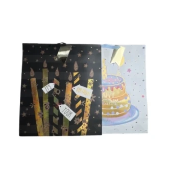 2.49 BIRTHDAY GIFT BAG