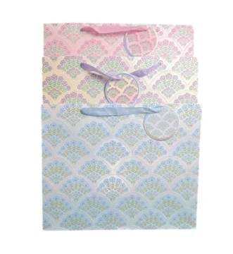 EVERYDAY GIFT BAG