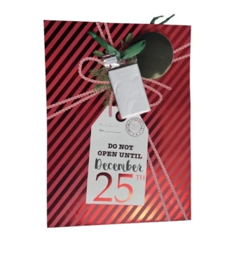 2.49 CHRISTMAS GIFT BAG