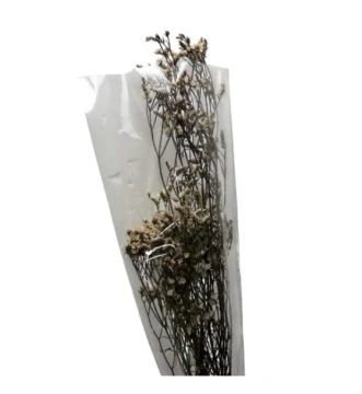 2.49 GERMAN STATICE STEMS 0.7 OZ