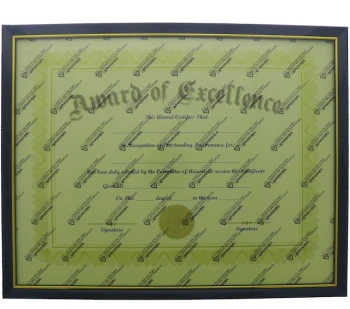 DOCUMENT FRAME BLACK AND GOLD TRIM 11 X 14 INCH