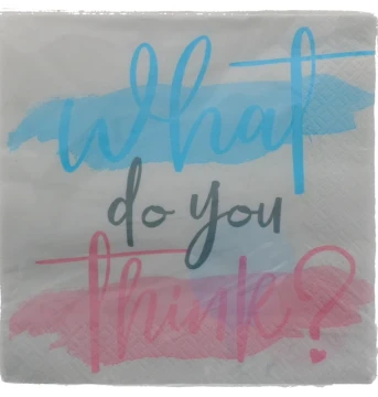 GENDER REVEAL LUNCHEON NAPKIN 16 COUNT