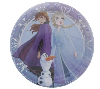 DISNEY FROZEN 2 7 IN PLATES