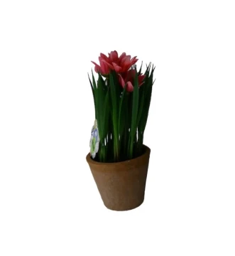 TROPICAL PLANT