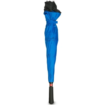 BLUE UMBRELLA