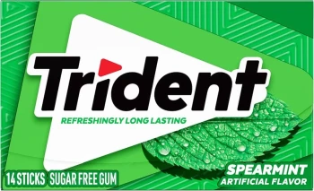TRIDENT SPEARMINT GUM