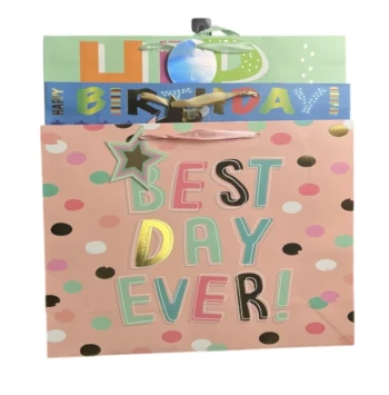LARGE GIFT BAG