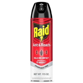 RAID ANT AND ROACH KILLER 1.75 OZ