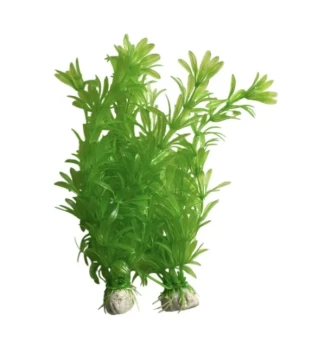 FISH TANK GRASS WITH SHELLS