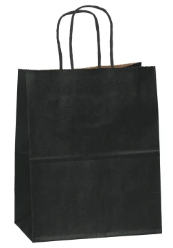 BLACK CRAFT BAG 2 COUNT
