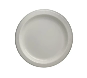 WHITE 8.5 INCH DINNER PLATE 20 COUNT