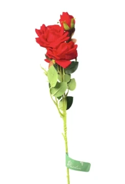 EXTRA LONG RED ROSE