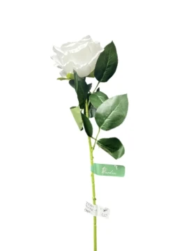 1.99 EXTRA LONG WHITE ROSE