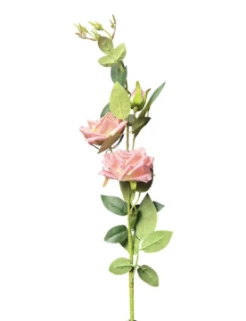 EXTRA LONG PINK ROSE