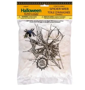 SPIDER AND SPIDER WEB