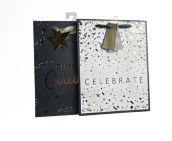 LARGE CELEBRATE GIFT BAG