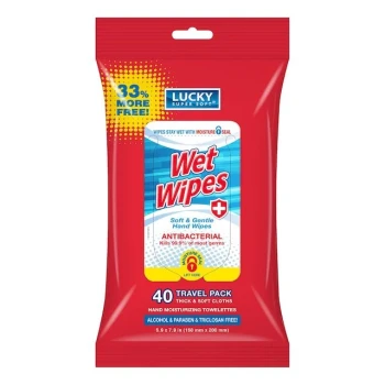 WET WIPES ANTIBACTERIAL